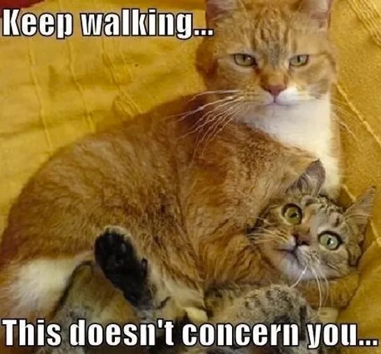 This doesn't concern you -_- - meme