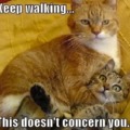 This doesn't concern you -_-
