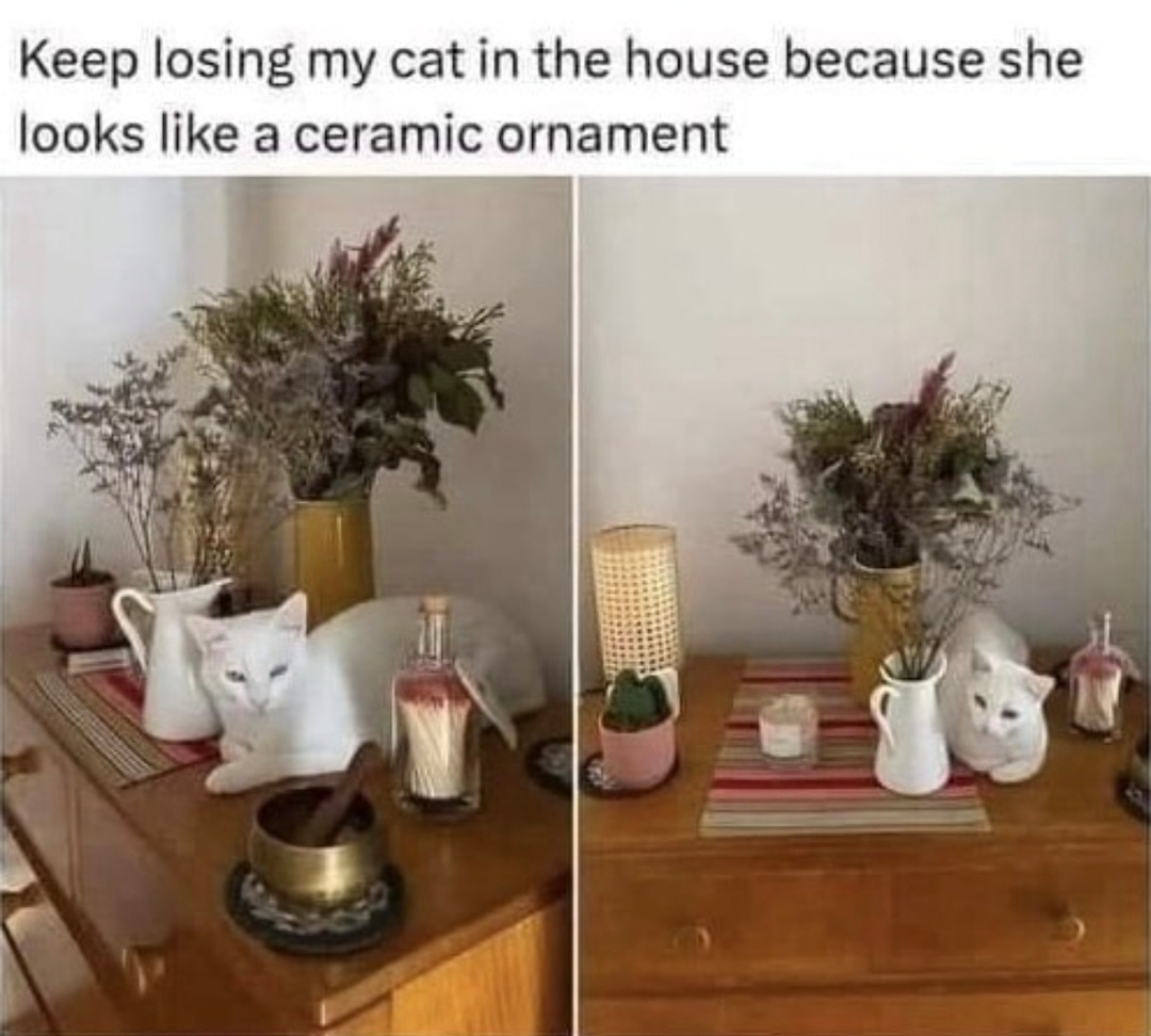 lost my cat again she’s disguised as decor - meme