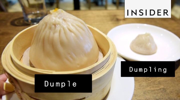 "Dumplings imply the existence of a large dumple" - meme