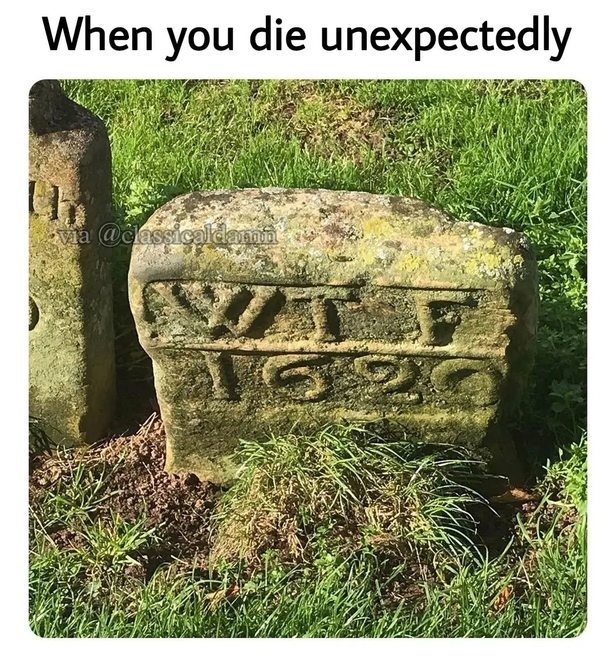 Wtf???? - meme