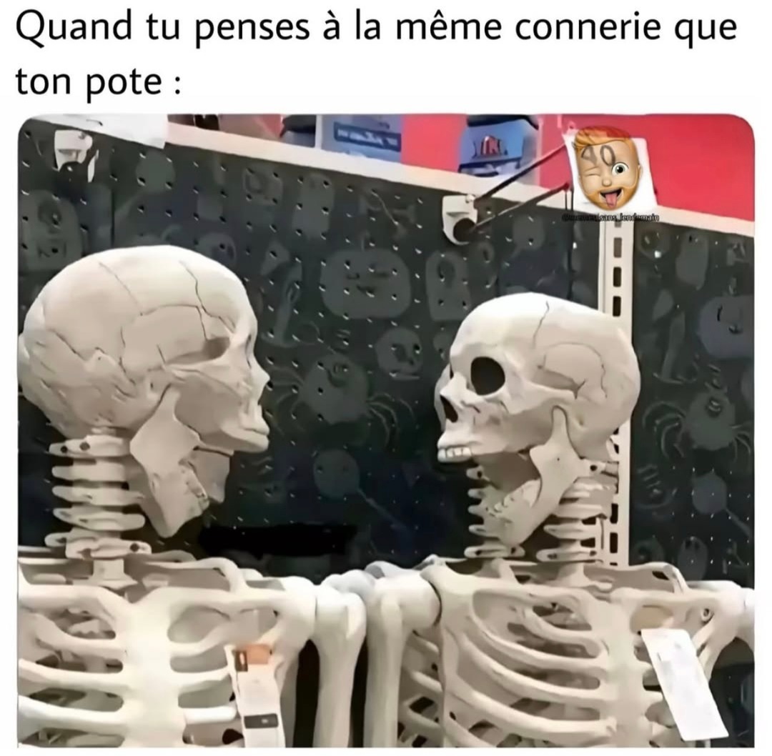 Quand ton pote et toi pensez à la même connerie - meme