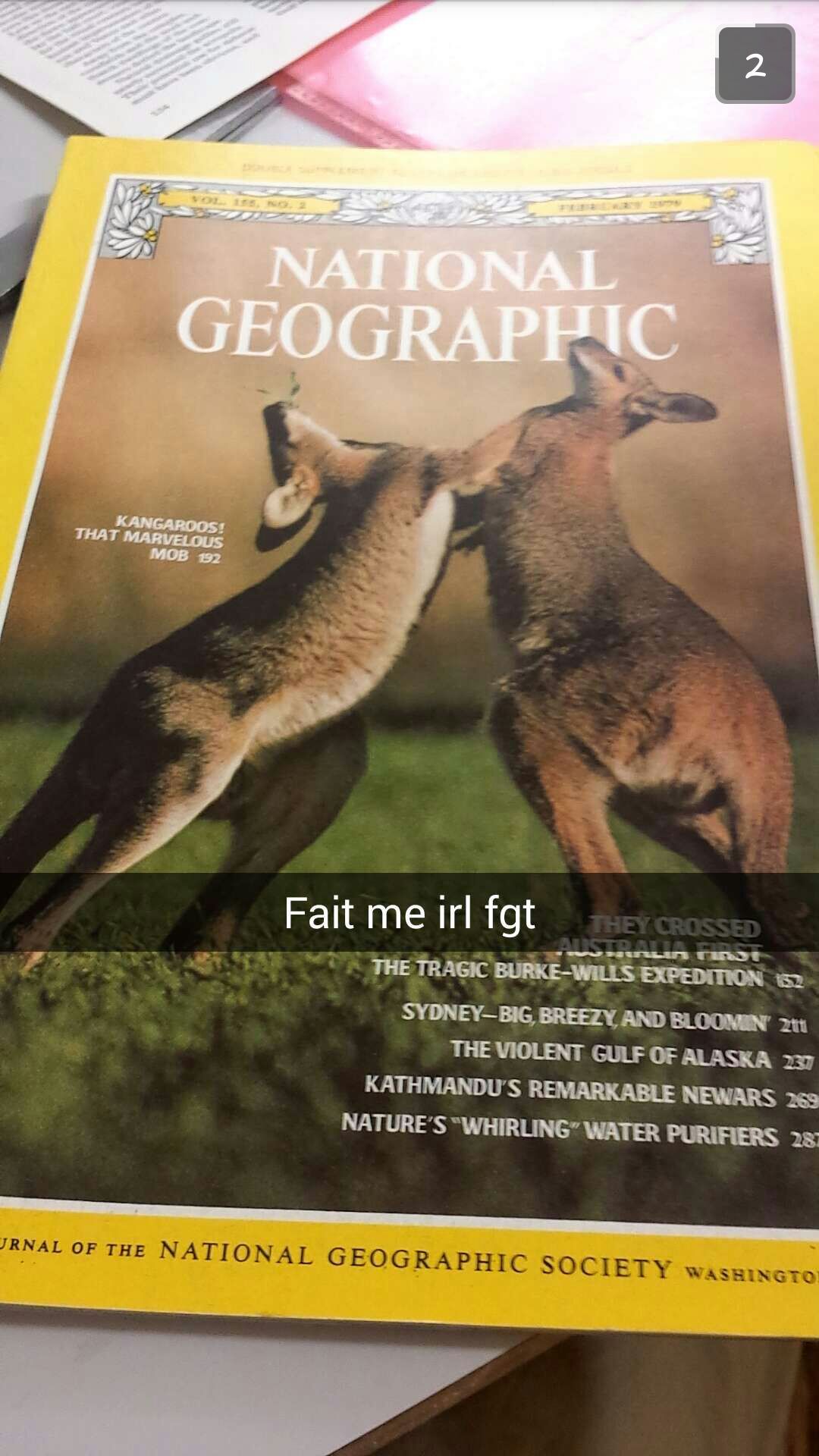 Title likes kangaroos - meme