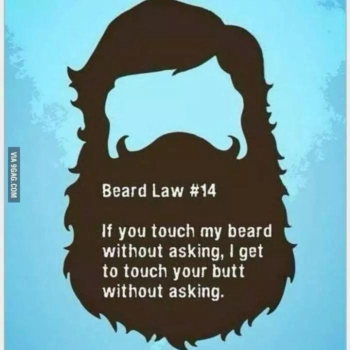 Beard law - meme
