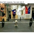 Time for pupper to get them gains