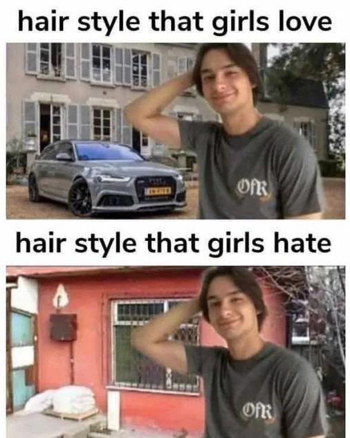 Hair Style - meme