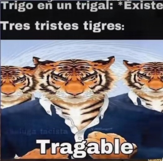 Tres tristes tigres tragan trigo en un trigal - meme