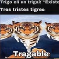 Tres tristes tigres tragan trigo en un trigal