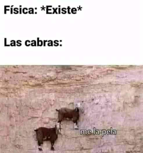 Cabras be like - meme