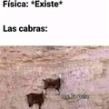 Cabras be like