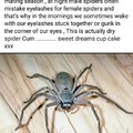 Arachnid Bukkake 