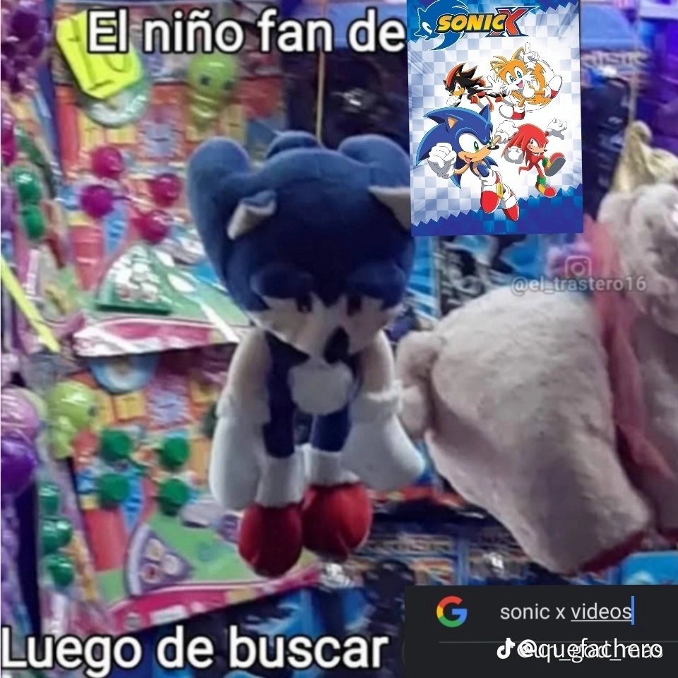Fan de Sonic x cuando buscan Sonic x en google - meme