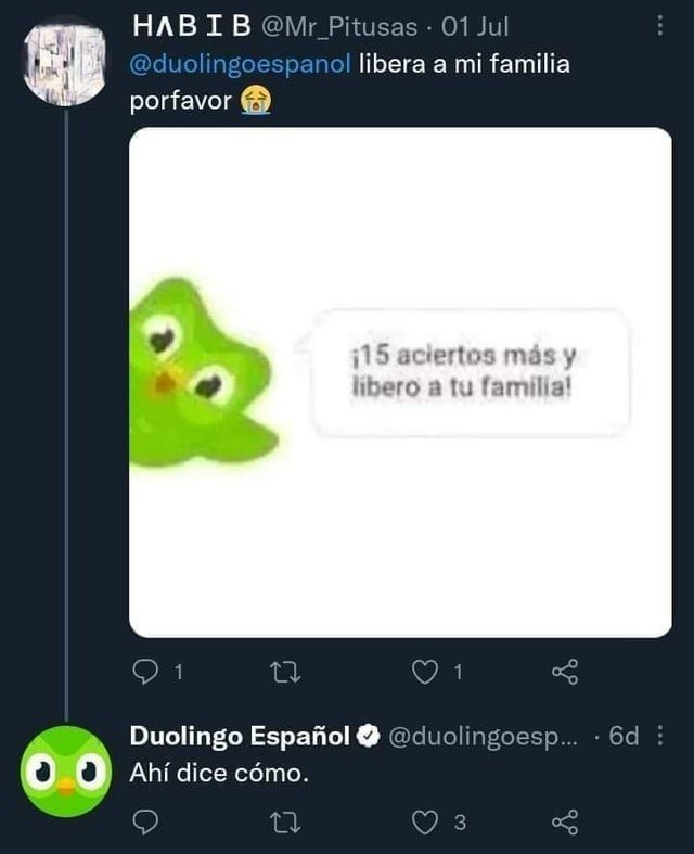 Duolingo libera a mi familia - meme