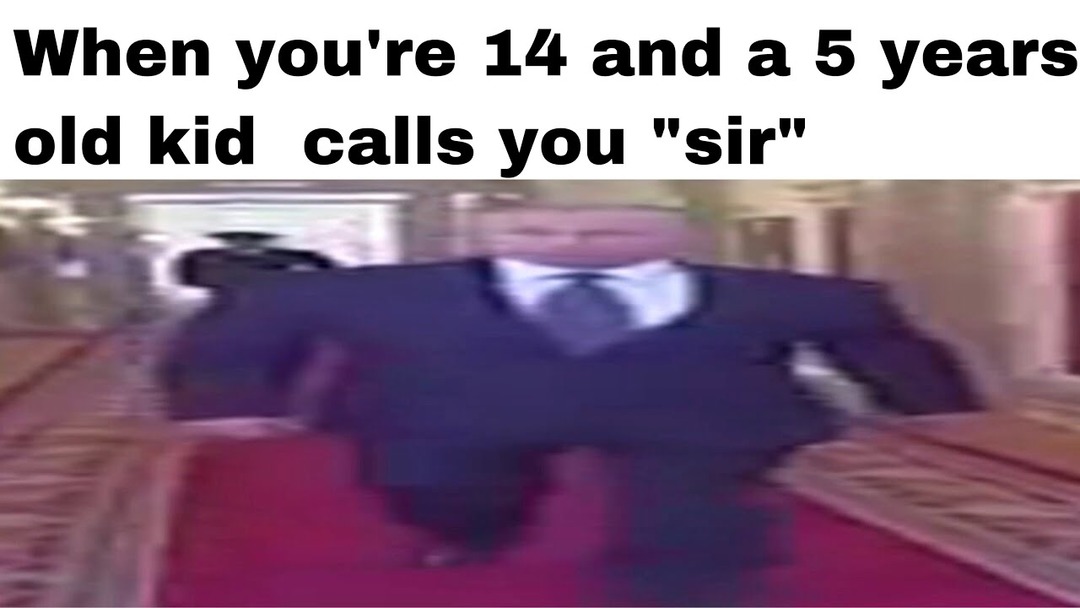 SIR - meme