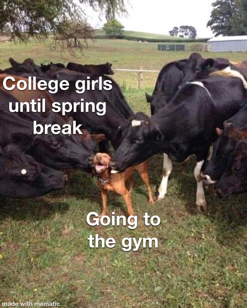 College girls until spring break - meme