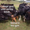 College girls until spring break