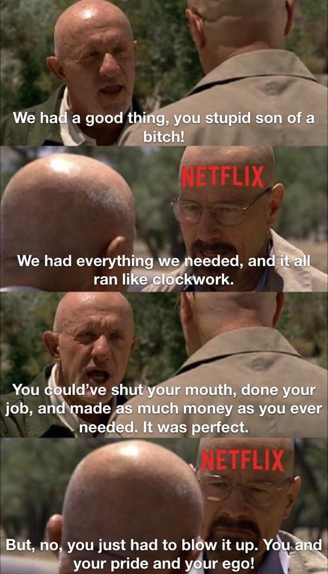 Netflix we had a good thing - meme