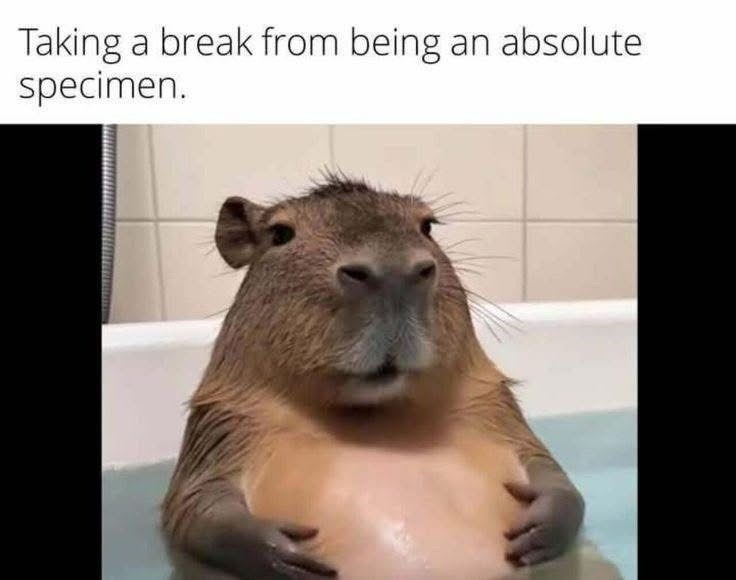 The best Specimen memes :) Memedroid