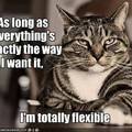 Flexible Cat