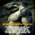#MentalidadDeTiburón