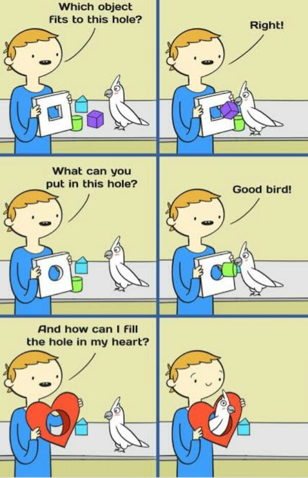 Good bird - meme