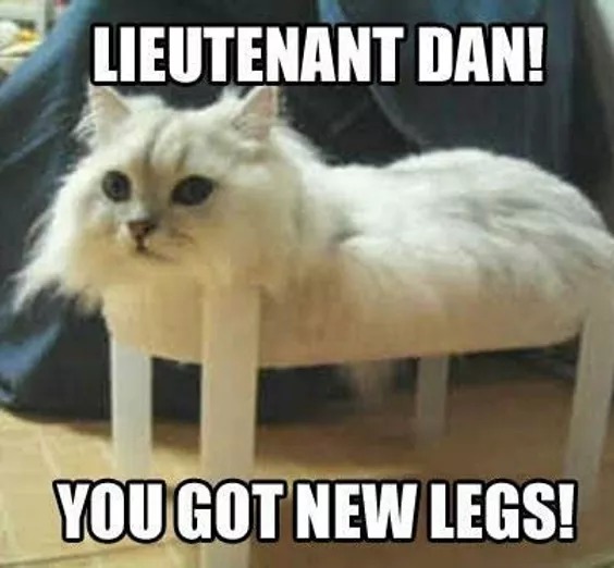 Lieutenant Dans got new legs - meme