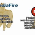 mediaGODfire