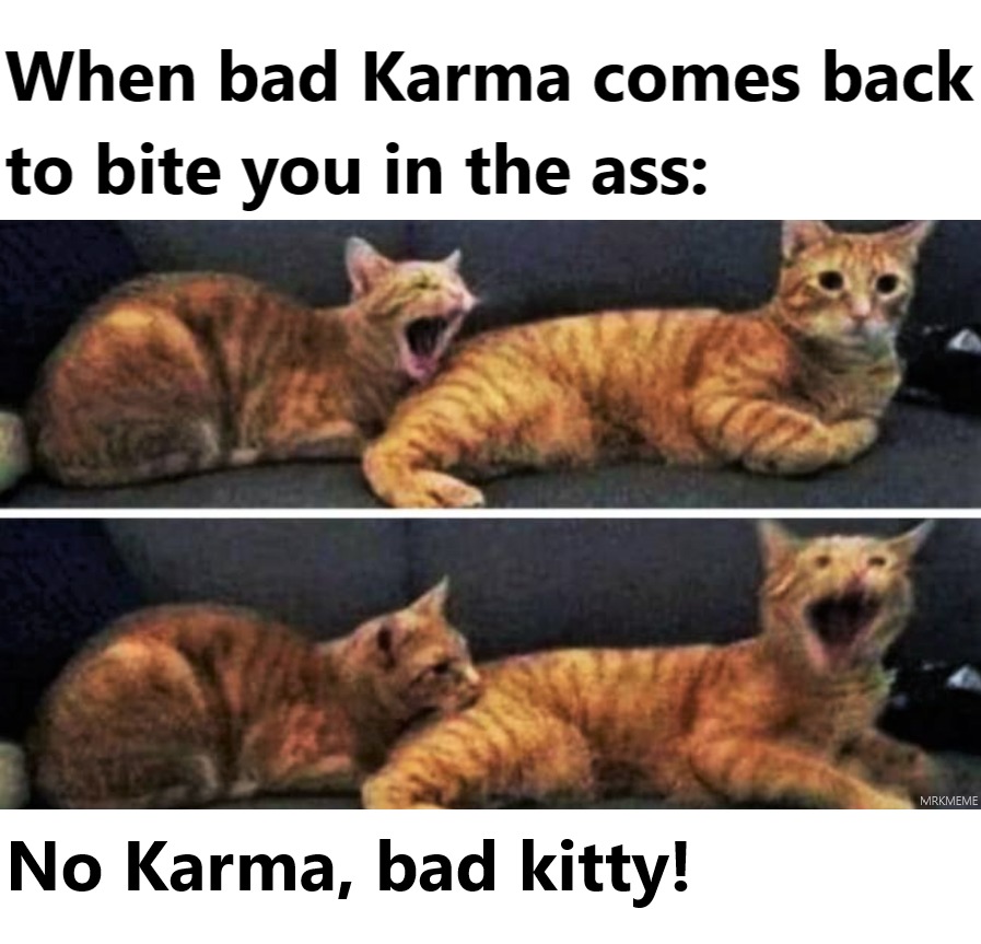 Karma's a bitch! - meme