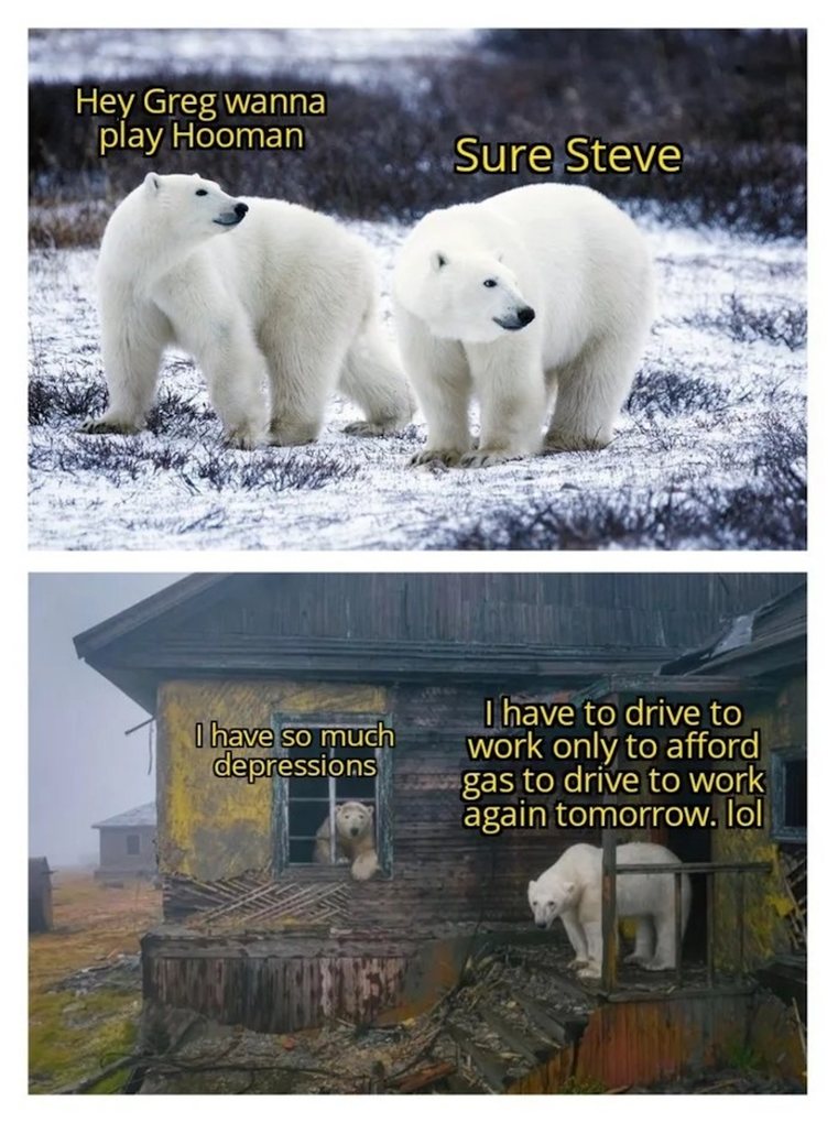 I wanna be free like the polar bear! - meme