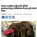 poor snakey
