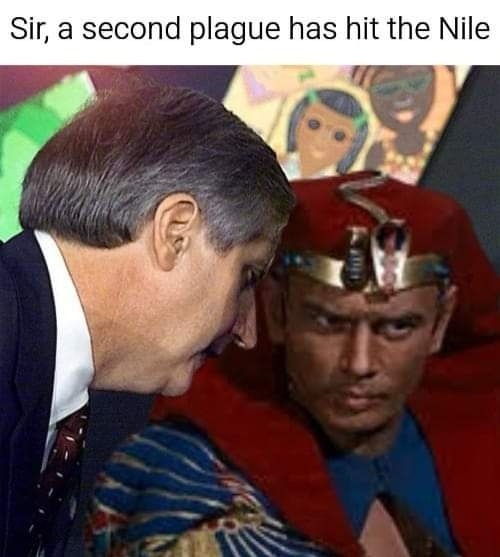 the frogs have hit the Nile, pharaoh - meme