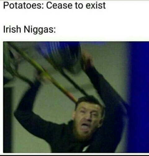 Ireland - meme
