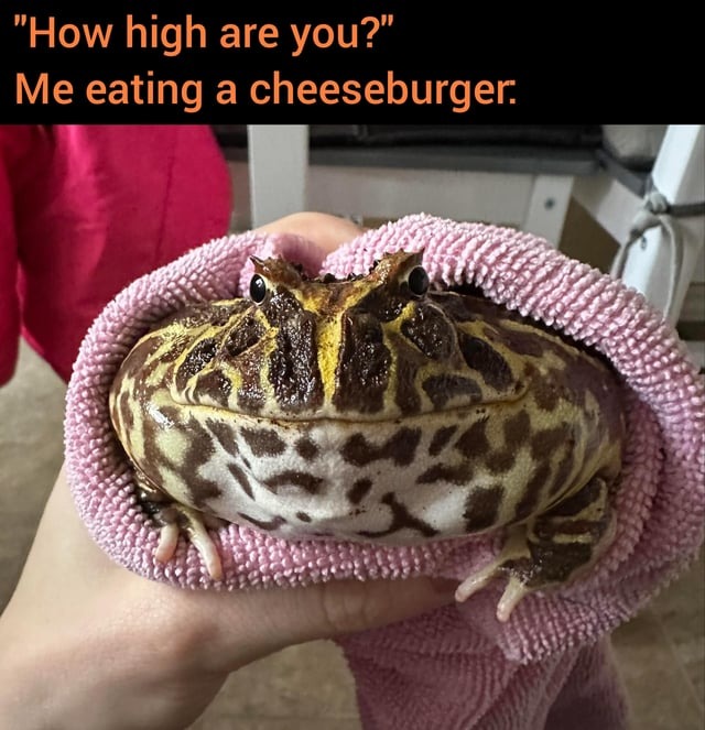 How high are you? - meme