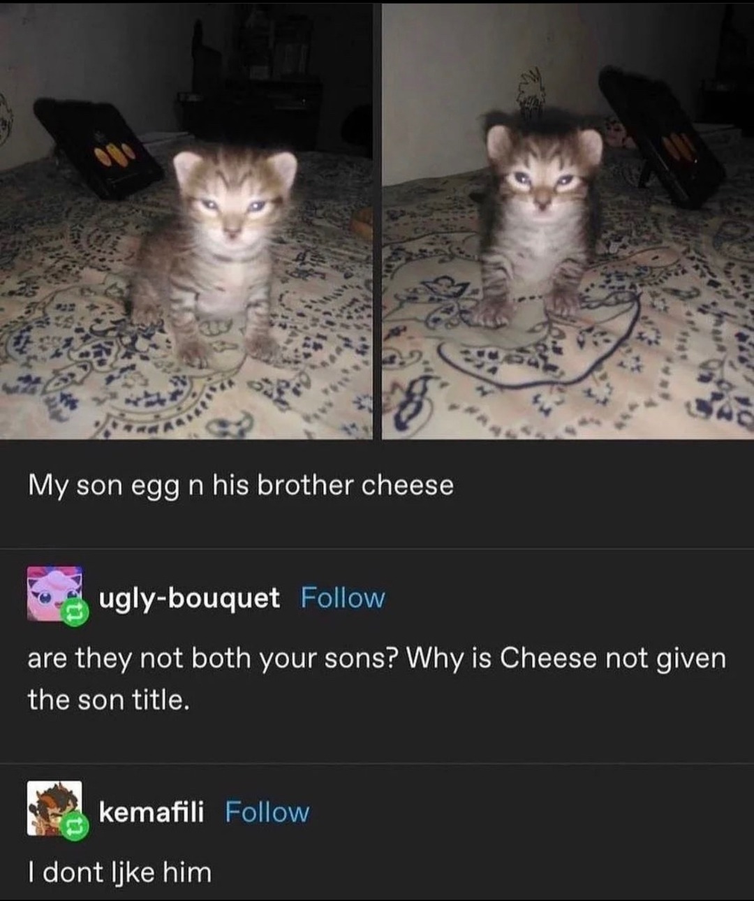 Egg n’ Cheese - meme