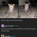 Egg n’ Cheese
