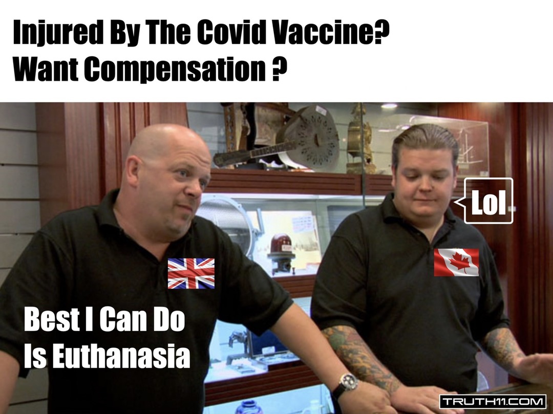 Injured By The Covid Vaccine? How About Some Euthanasia? - meme