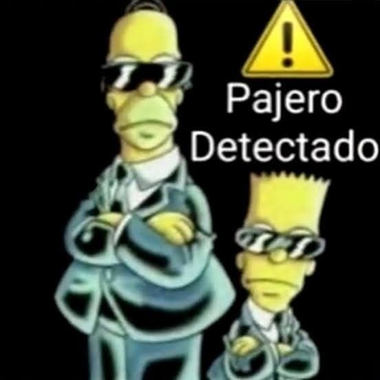 Ya todos lo sabemos Gabriel, deja de jalartela con cerdo - meme