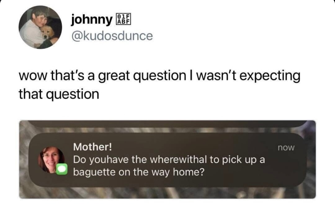 unexpected existential question followed by baguette request - meme
