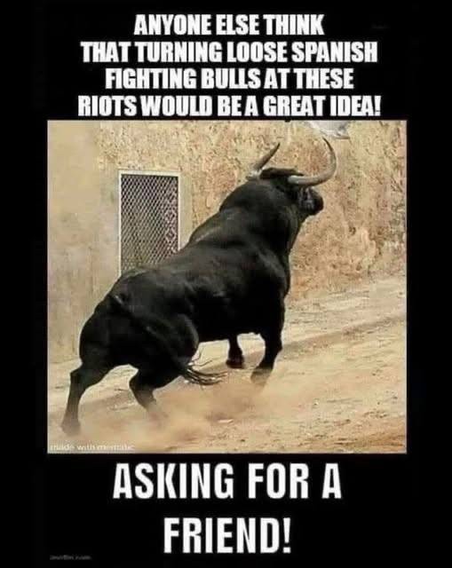 Moo - meme