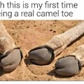 Dirty camel girl