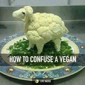 How to confuse an vegan