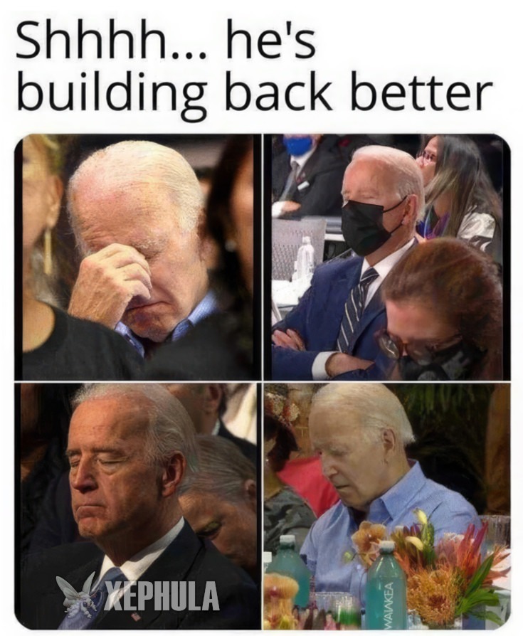 Build Back Better - meme