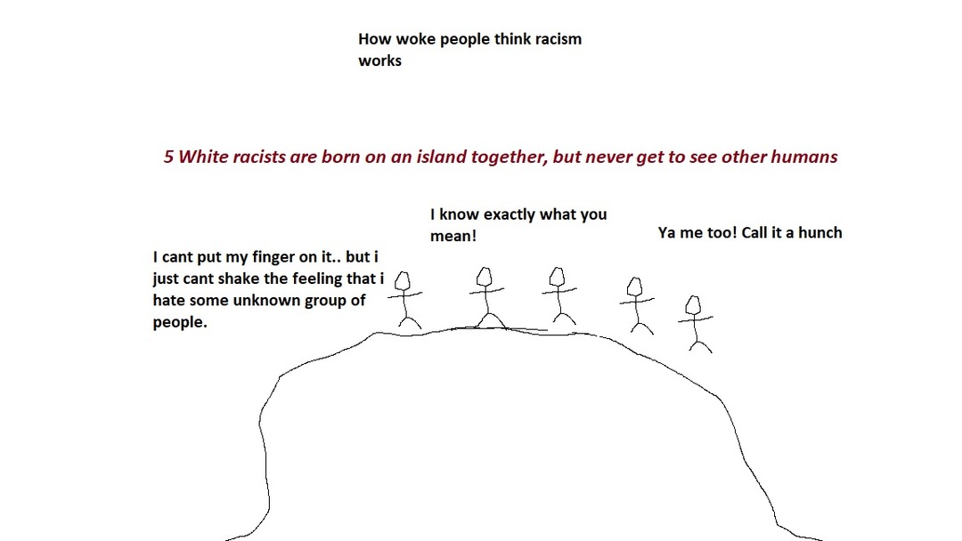 How woke people think racism works - meme