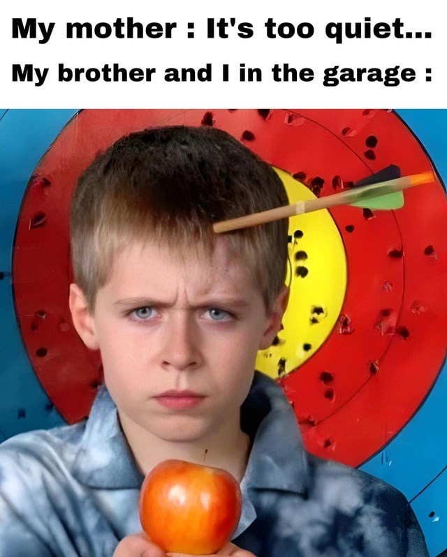 average day with your brother - meme
