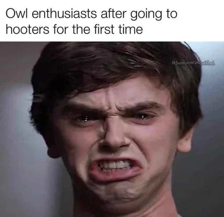 Owl enthusiasts after going to hooters for the first time - meme