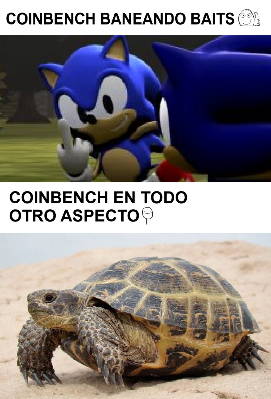 coinPUTA - meme