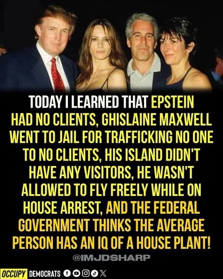 Maxwell jailed for trafficking to no one apparently. Makes sense - meme