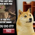 Doge is in peril guys