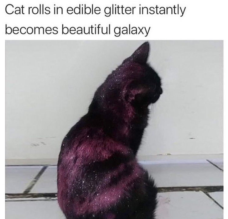 galaxy cat - meme