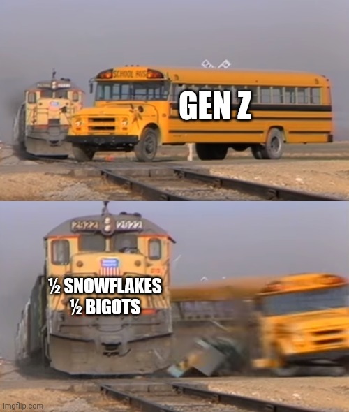 Gen Z For Real - meme